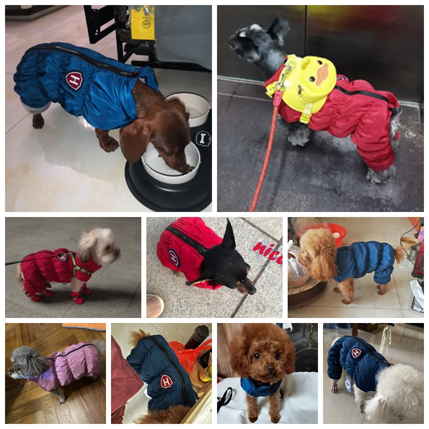 Zipper Snow Unisex Dog Waterpr - Baby Clothing Winter recension och pris